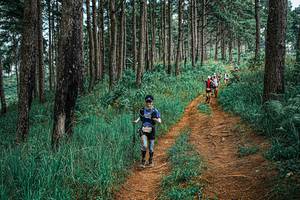 BIB: 
                            <button type="button" onclick="openModal(25674639)" class="btn btn-primary btn-sm float-right btn-popup" data-toggle="modal" data-target=".modal-high-quality">
                        <i class="fas fa-shopping-cart"></i> Add to Cart
                    </button>
                                            <button type="button" onclick="isThisMe(25674639, true)" class="btn btn-success btn-sm float-right btn-popup btn-isme hidden" data-toggle="tooltip" data-placement="bottom" title="นี่คือรูปของคุณใช่ไหม คลิกที่นี่เพื่อเอาเข้าอัลบั้ม">
                        <i class="fas fa-plus"></i> Add to album
                    </button>
                    <button type="button" onclick="isThisMe(25674639, false)" class="btn btn-warning btn-sm float-right btn-popup btn-isnotme hidden">
                        <i class="fas fa-ban"></i> Remove from album
                    </button>